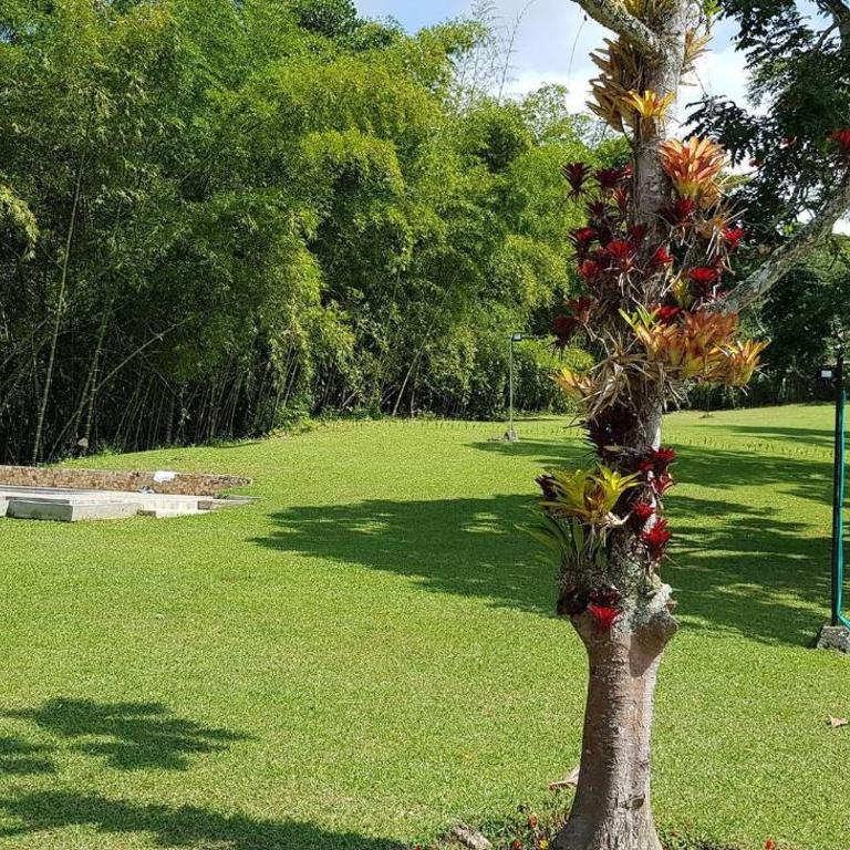El Guadual del Eden - Tourism Registry - 48044 - Vacation Home - 49