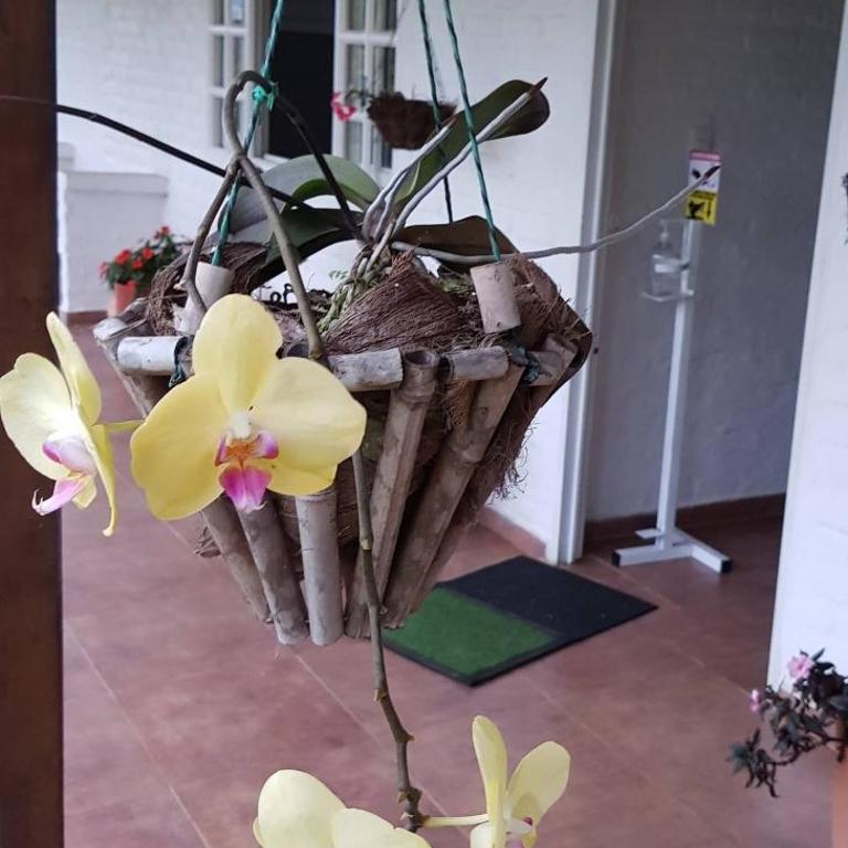 El Guadual del Eden - Tourism Registry - 48044 - Vacation Home - 50
