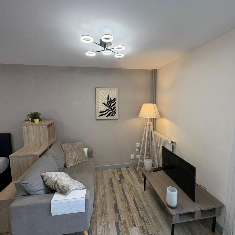 Studio du parc - cosy Orléans centre - Apartment mit 1 Schlafzimmer - 1