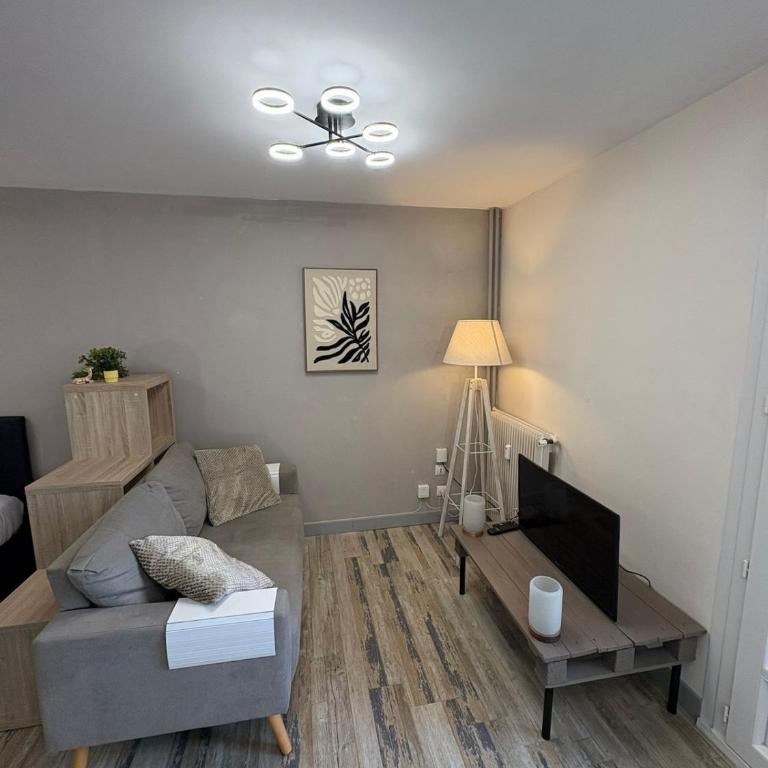 Studio du parc - cosy Orléans centre - Apartment mit 1 Schlafzimmer - 3