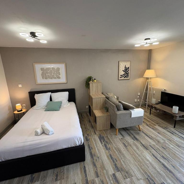 Studio du parc - cosy Orléans centre - Apartment mit 1 Schlafzimmer - 7