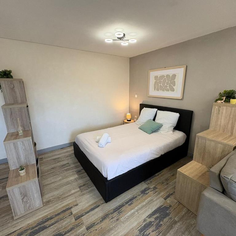 Studio du parc - cosy Orléans centre - Apartment mit 1 Schlafzimmer - 11