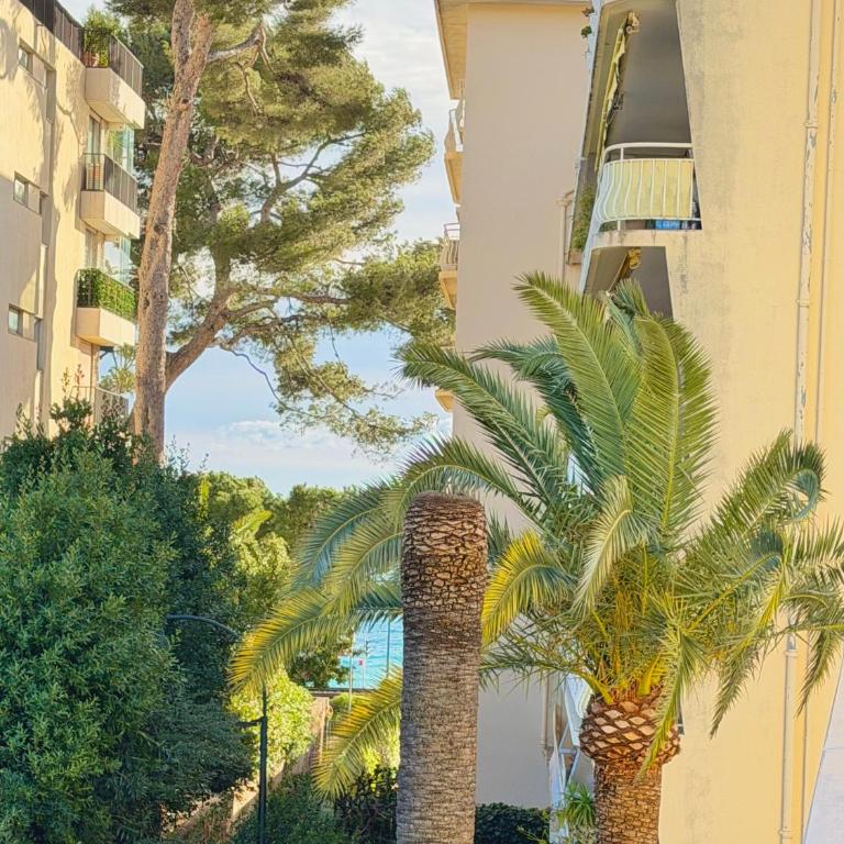 VERCORS next to the Sea & Beach - Appartement 1 Chambre avec Vue sur la Mer et Terrasse - 5