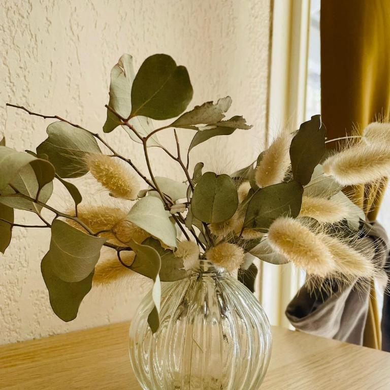 Ground Floor Apartment with Garden - Appartement 1 Chambre - 5