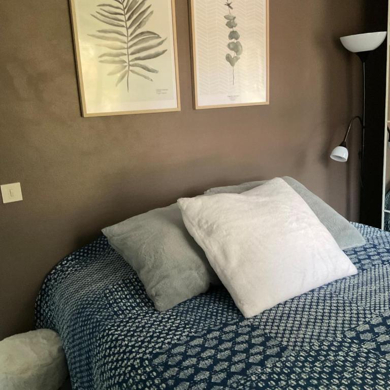 La Mouette de Ripaille - Appartamento con 1 Camera da Letto - 4