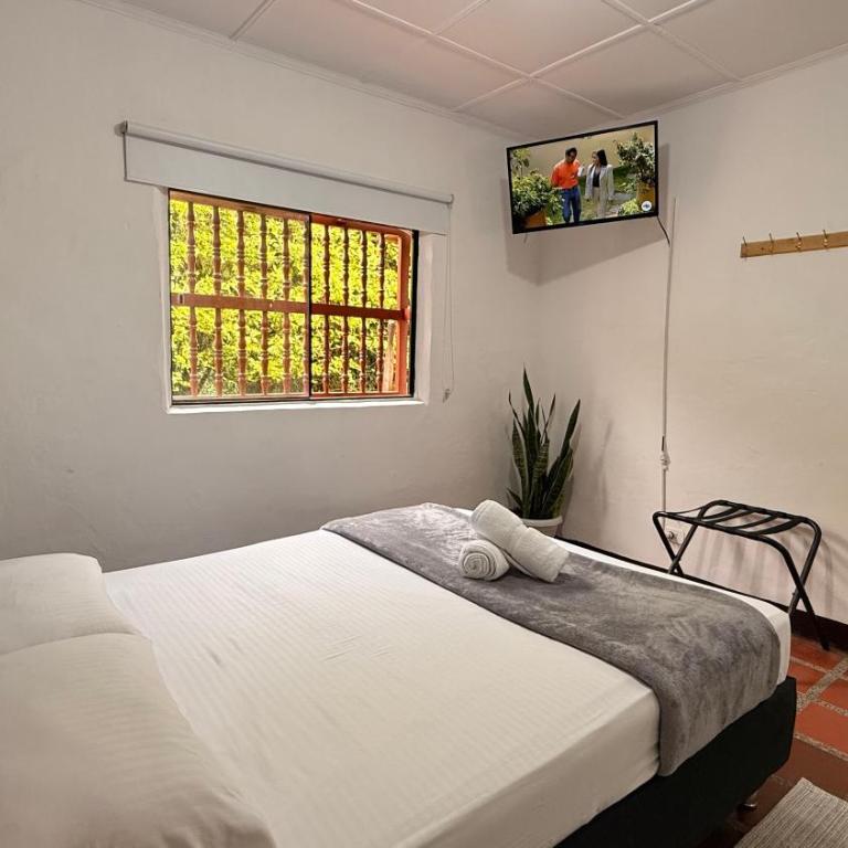 Hotel CSI Llanogrande - Habitación Superior - 1 cama grande - 4