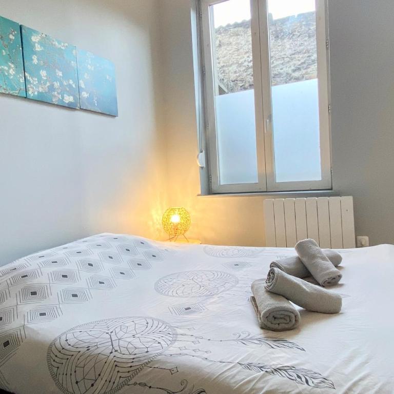 Van Gold - Appartement - Centre Ville - Appartement 1 Chambre - 10