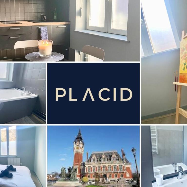 Van Gold - Appartement - Centre Ville - Appartement 1 Chambre - 2