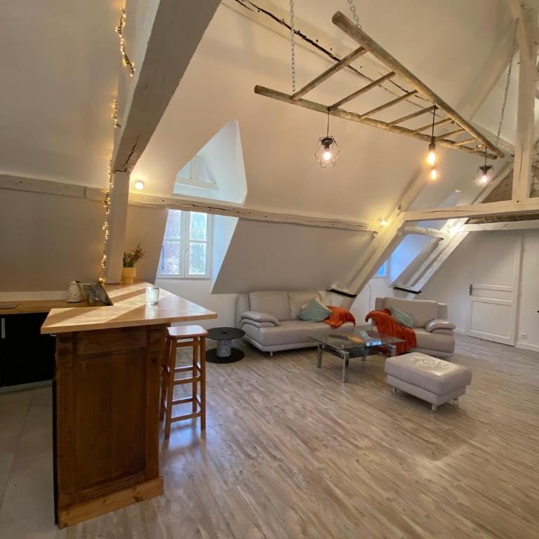Sous les toits des Jacobins, 3 chambres, WiFi - Apartamento de 3 dormitorios - 37