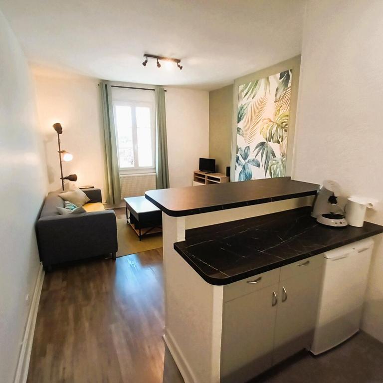 L'Oasis-T2 spacieux-Wifi-TV-Proche Gare - Appartamento con 1 Camera da Letto e Vista Città - 19