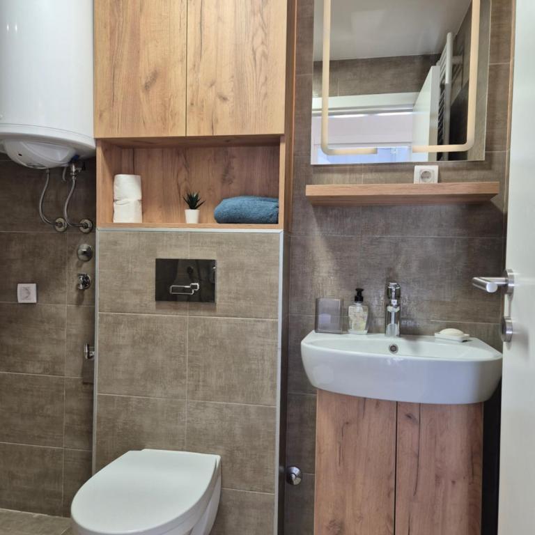 Apartman Forest Rest Divcibare 2 - Room #1583696501 - 10