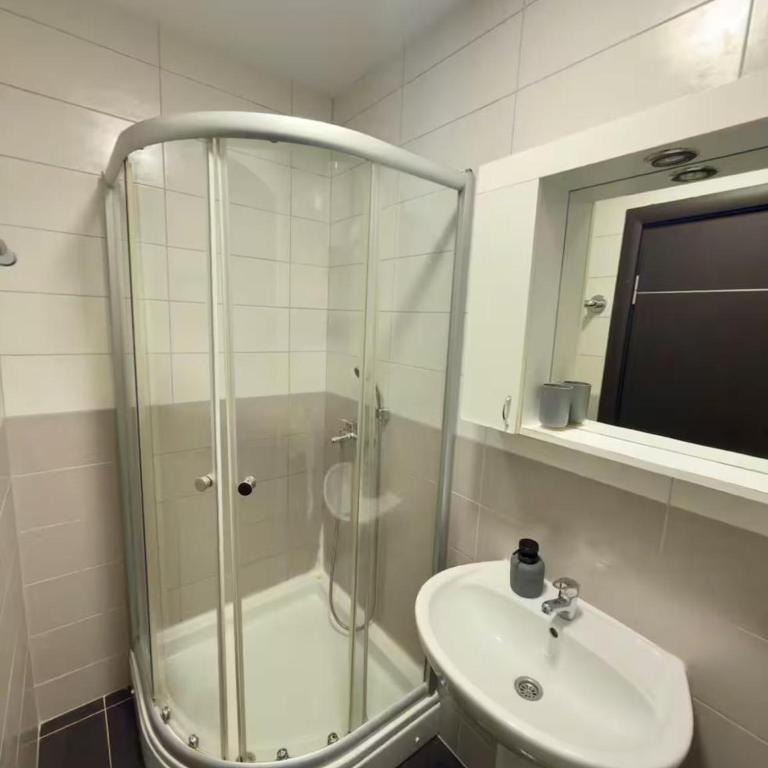 ADAIST Apartments Budva Free Parking & Balcony - Dvokrevetna Soba sa Bračnim Krevetom - 5