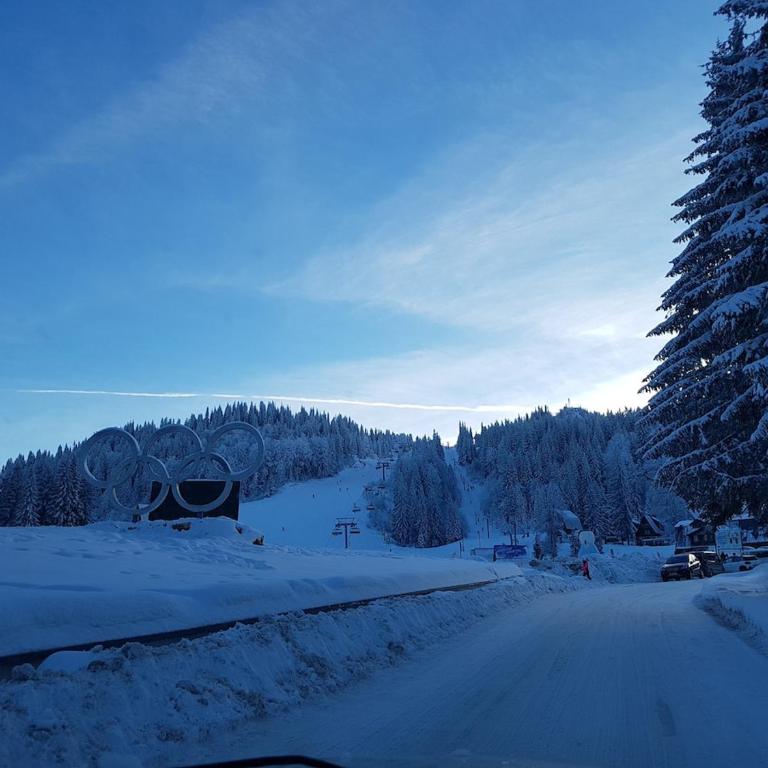 Dunja Chalet, Jahorina - Room #1583698101 - 27