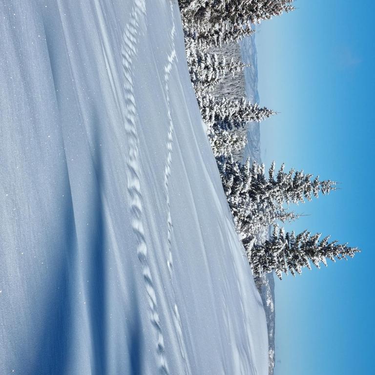 Dunja Chalet, Jahorina - Room #1583698101 - 35
