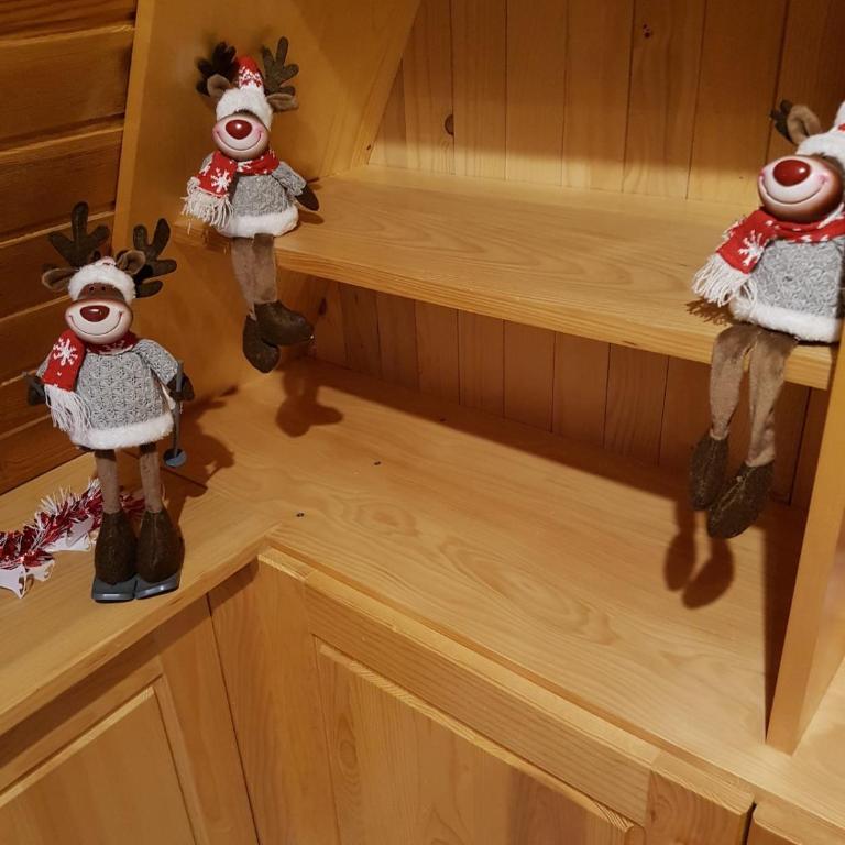 Dunja Chalet, Jahorina - Room #1583698101 - 42