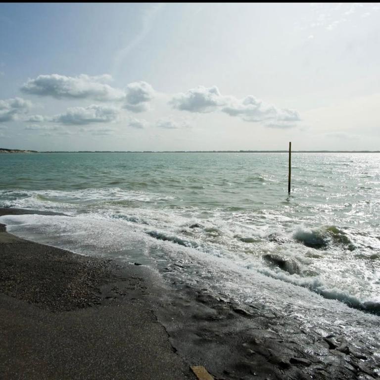 Studio, sea side - Appartement 1 Chambre - 14