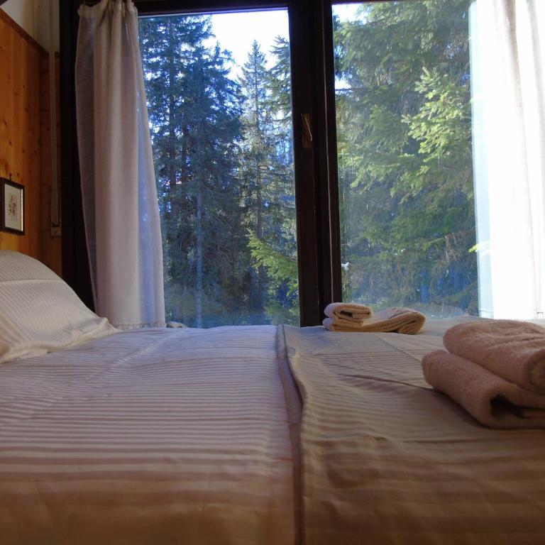 Hs4U Chalet sulle piste - Dolomiti - Madonna di Campiglio - Appartamento con 1 Camera da Letto - 3