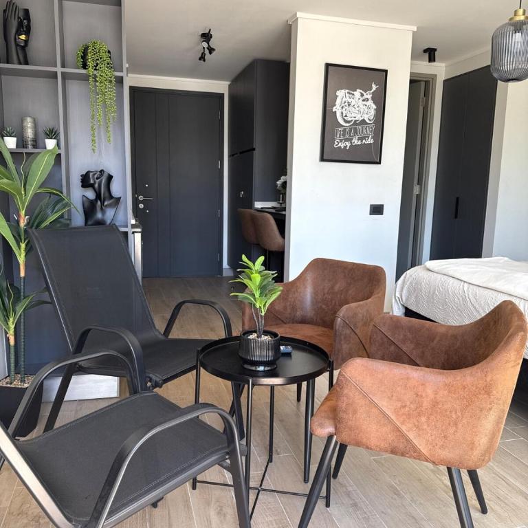 New Studio Alameda - One-Bedroom Apartment - 6