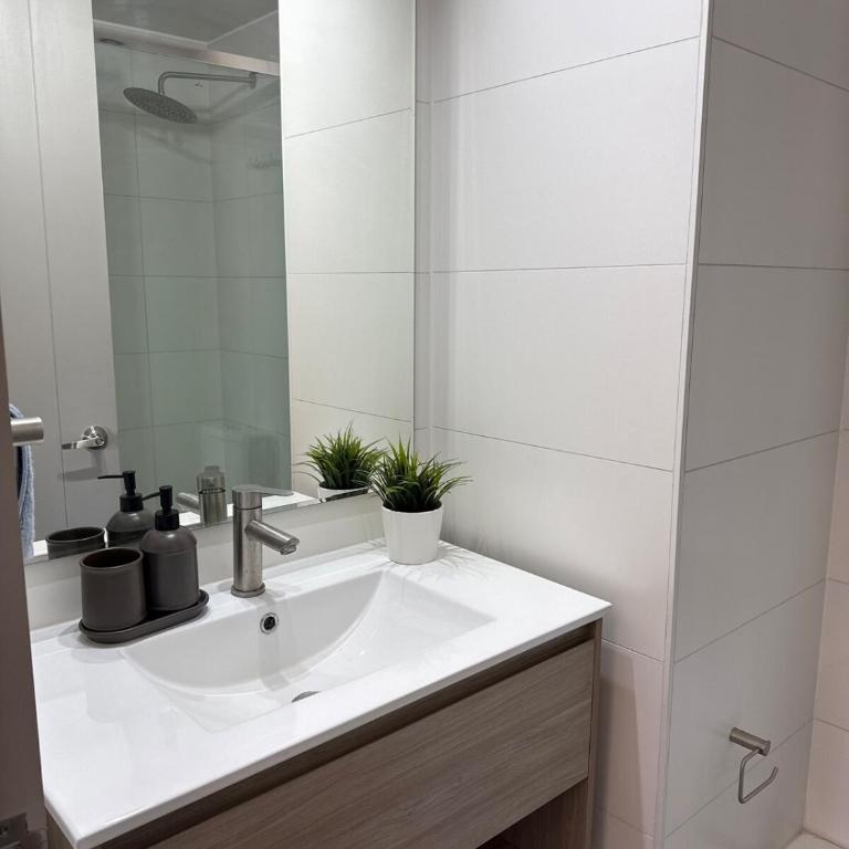 New Studio Alameda - One-Bedroom Apartment - 10