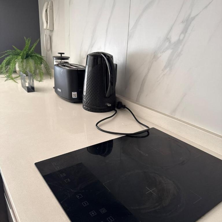 New Studio Alameda - One-Bedroom Apartment - 12