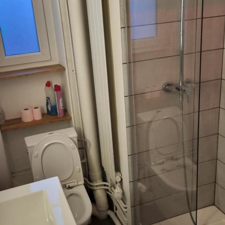 Appartement T5 rénové centre ville - Apartment mit 3 Schlafzimmern - 2
