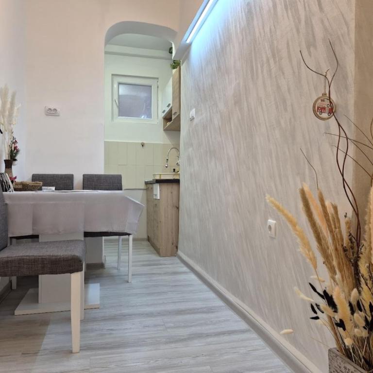 Vracar Cozy Nook - Two-Bedroom Apartment - 11