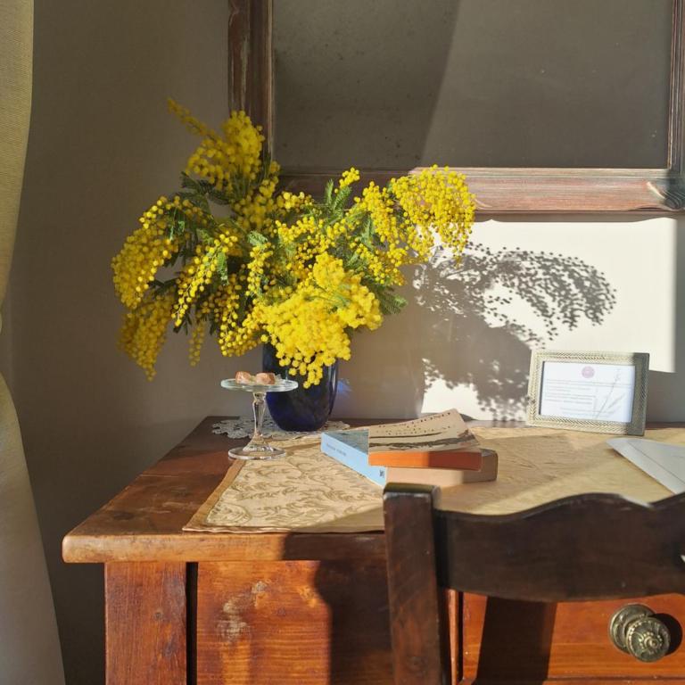 Vintage Provence - Studio avec Vue sur Jardin - 14