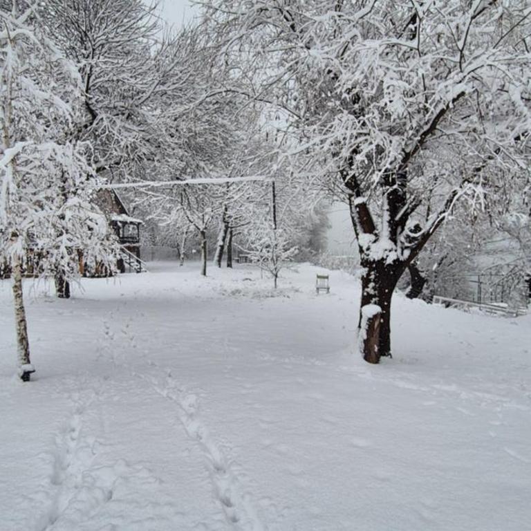 Danube Retreat - Kuća sa 1 Spavaćom Sobom - 23
