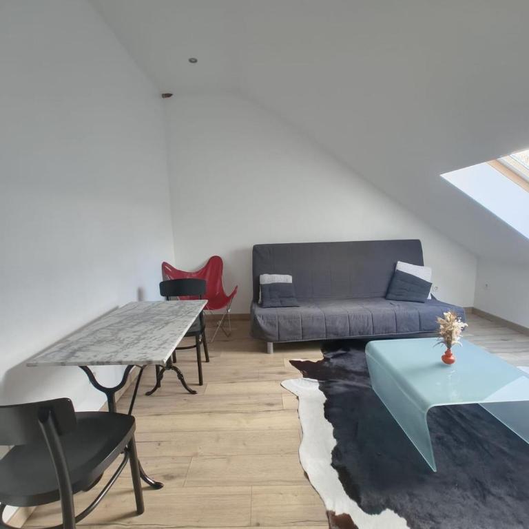 Appart cosy mansardé Dijon gare 1km animaux acceptés - Appartamento con 1 Camera da Letto - 7