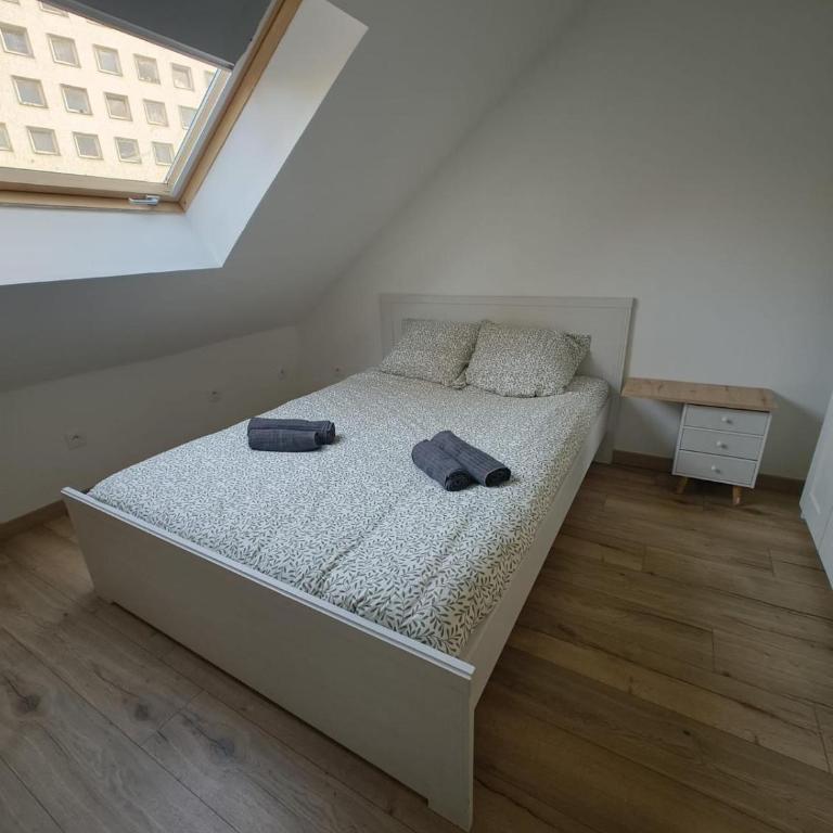 Appart cosy mansardé Dijon gare 1km animaux acceptés - Appartamento con 1 Camera da Letto - 9
