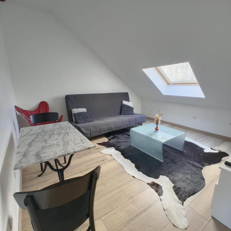 Appart cosy mansardé Dijon gare 1km animaux acceptés - Appartamento con 1 Camera da Letto - 6