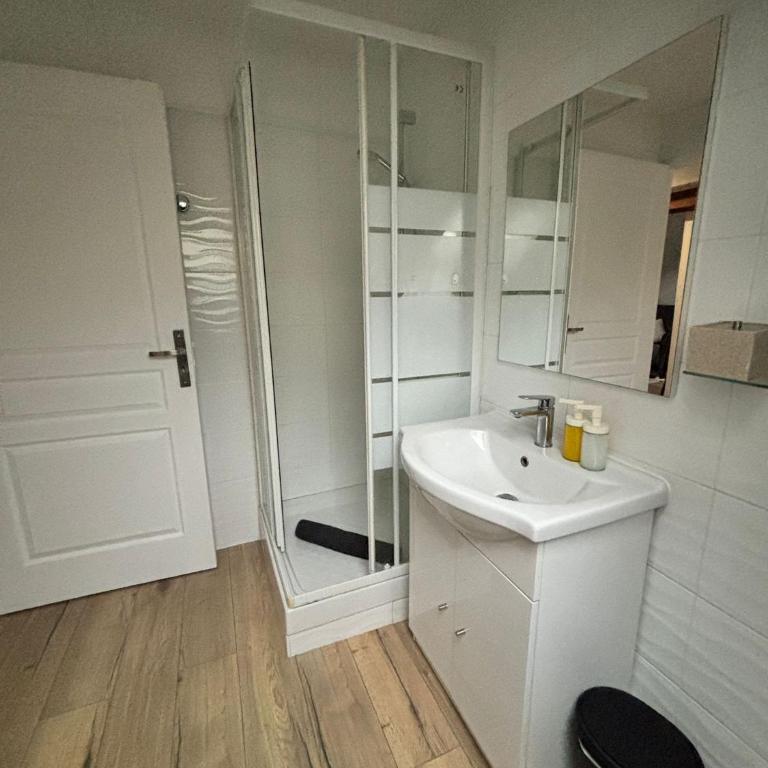 Appart cosy mansardé Dijon gare 1km animaux acceptés - Appartamento con 1 Camera da Letto - 15