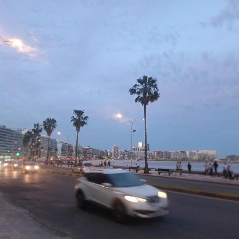 Rambla Hotel edificio - One-Bedroom Apartment - 15