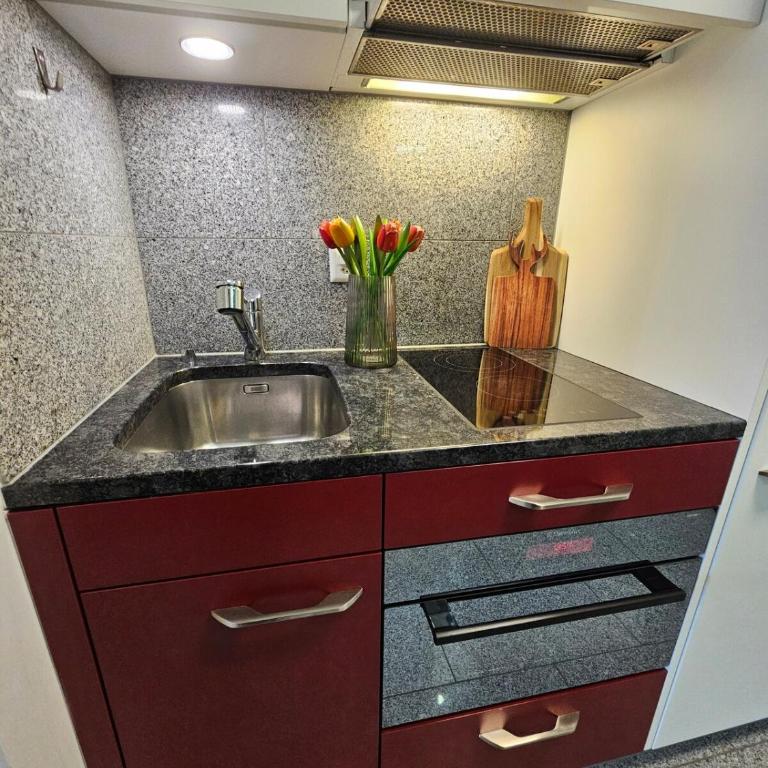 Flims Laax, Parking, Ski, Ski room, Self Check-in Wi-Fi Caumasee - Apartment mit 1 Schlafzimmer - 16