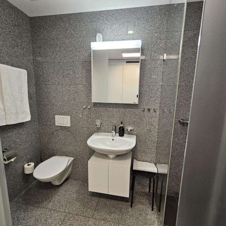 Flims Laax, Parking, Ski, Ski room, Self Check-in Wi-Fi Caumasee - Apartment mit 1 Schlafzimmer - 22