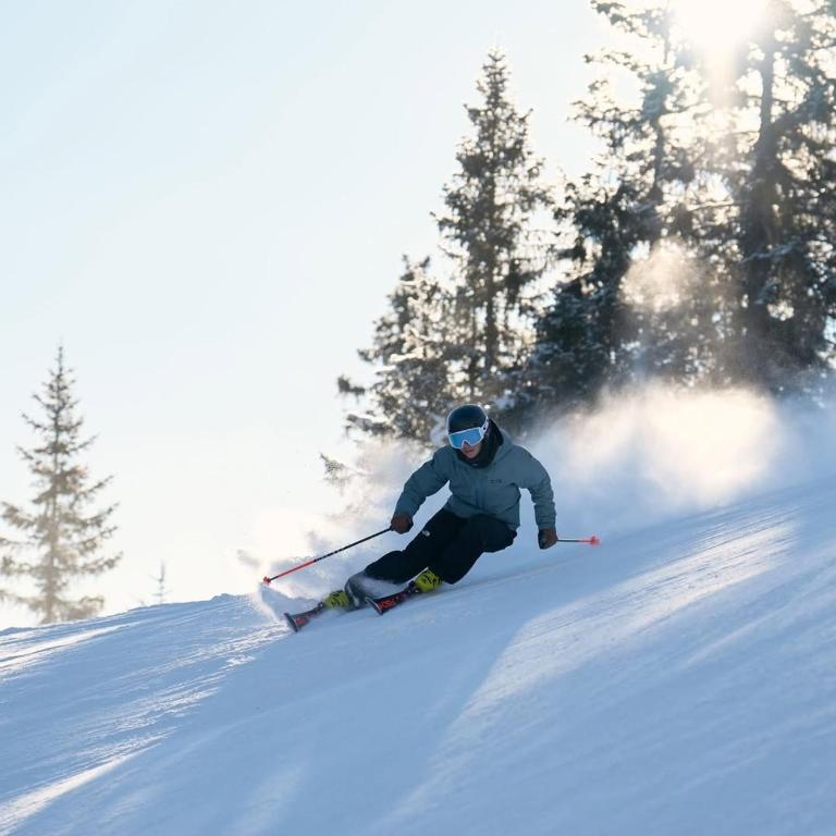 Flims Laax, Parking, Ski, Ski room, Self Check-in Wi-Fi Caumasee - Apartment mit 1 Schlafzimmer - 10