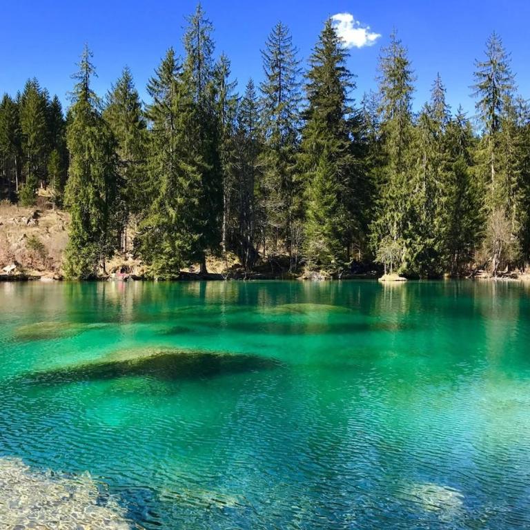 Flims Laax, Parking, Ski, Ski room, Self Check-in Wi-Fi Caumasee - Apartment mit 1 Schlafzimmer - 3