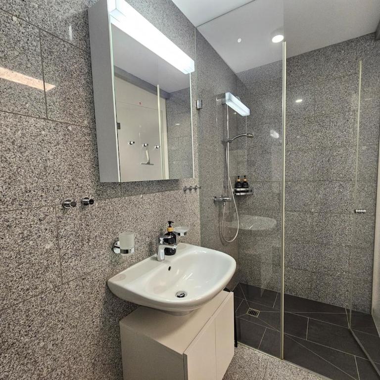 Flims Laax, Parking, Ski, Ski room, Self Check-in Wi-Fi Caumasee - Apartment mit 1 Schlafzimmer - 17