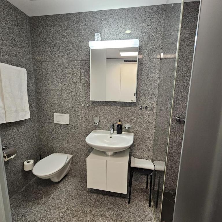 Flims Laax, Parking, Ski, Ski room, Self Check-in Wi-Fi Caumasee - Apartment mit 1 Schlafzimmer - 31