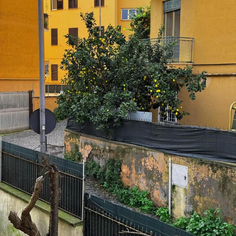 St Peter's Alley - One-Bedroom Apartment with Balcony - 25
