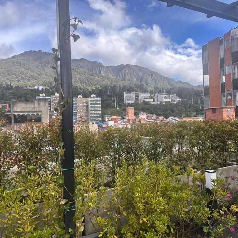 APARTAESTUDIO UNIVERSITARIO/CENTRO DE BOGOTA/TURISTICO - One-Bedroom Apartment - 88
