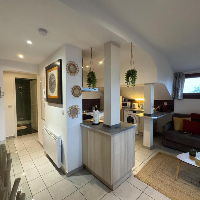 Le cocon chaleureux vu sur le lac - Appartement 1 Chambre - 8