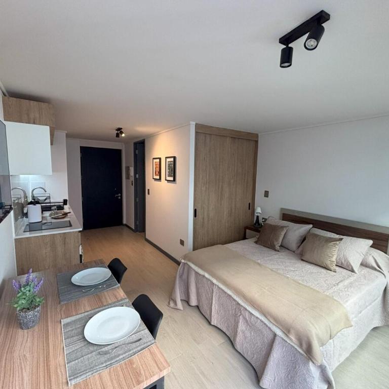 Estudio en Santiago Centro - Room #1583802201 - 1