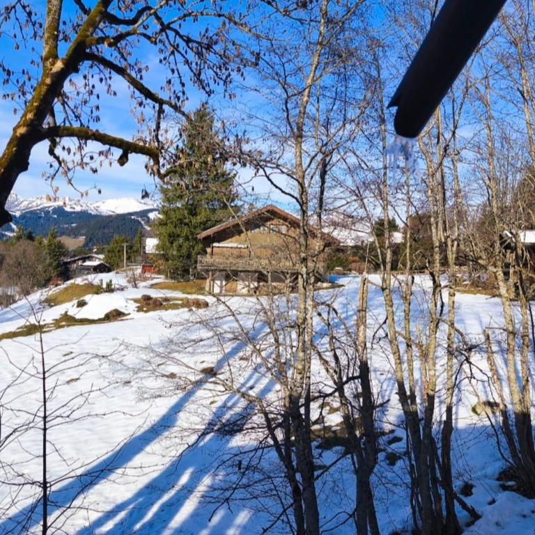Stay in an ideal mountain chalet! - Appartamento - 14