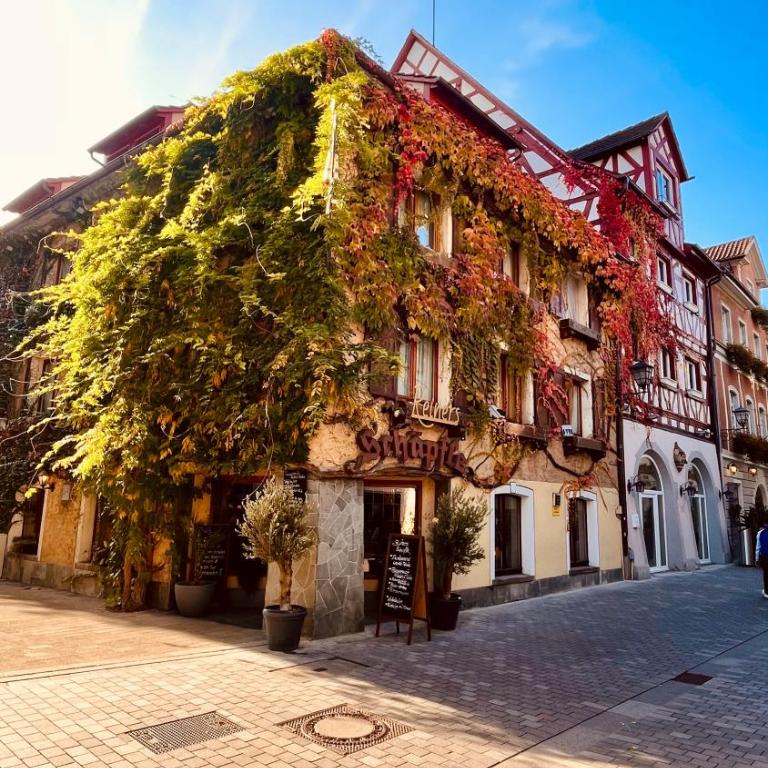 unique Ferienwohnung - Apartment mit 2 Schlafzimmern und Terrasse - 40