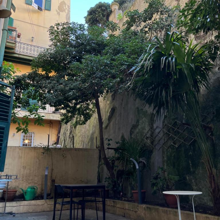 Genova Antica Carmine - Suite con Terrazza - 8