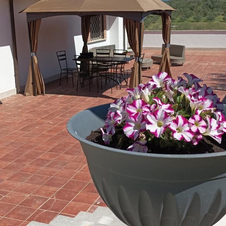 Oliveto Relax Alloggio Turistico - Appartement 2 Chambres - 2
