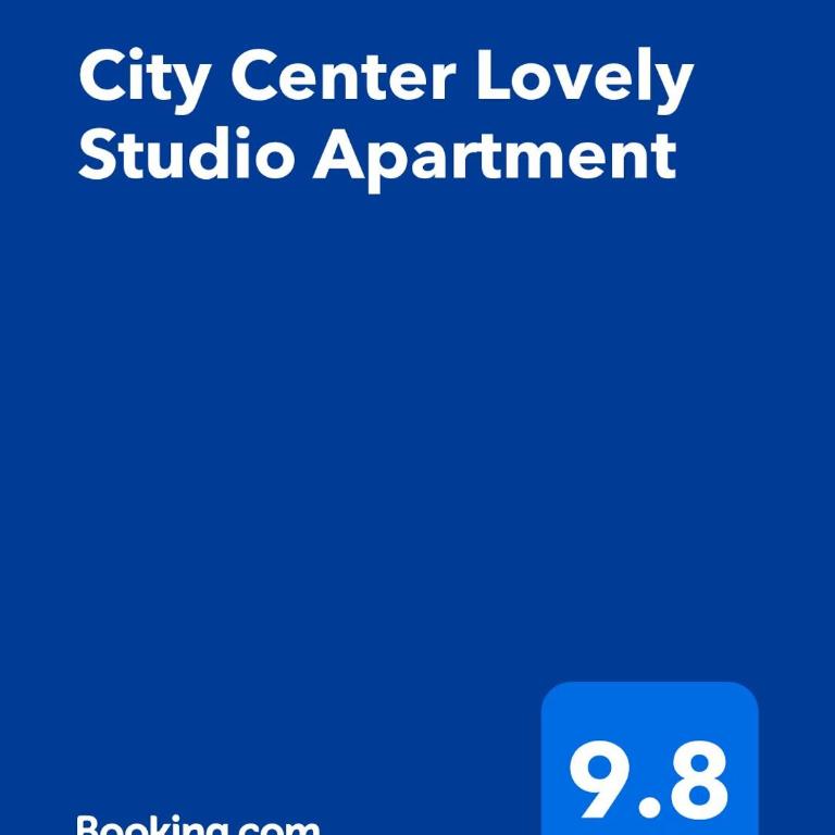 City Center Lovely Studio Apartment - One-Bedroom Apartment - 7