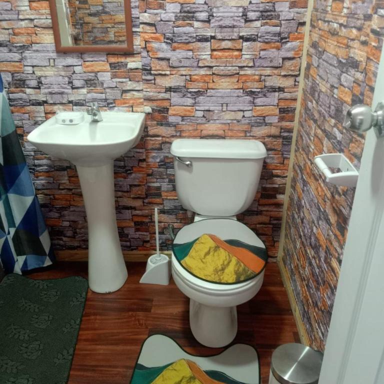 Furnished cabin in Colbun, Maule Region - Room #1583853201 - 2
