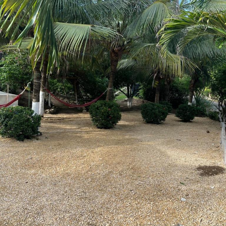 House Las Palmas villa privada - Villa de 3 dormitorios - 25